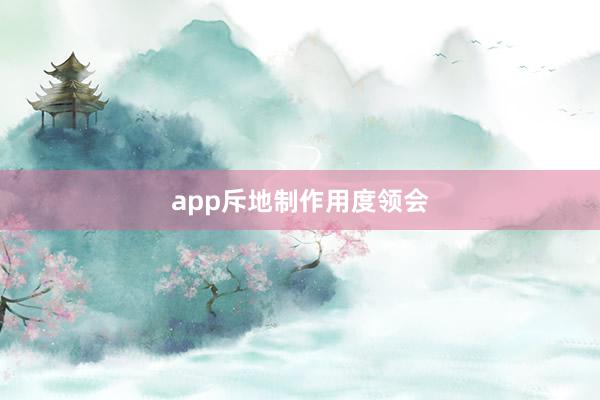 app斥地制作用度领会