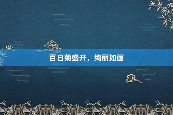 百日菊盛开，绚丽如画